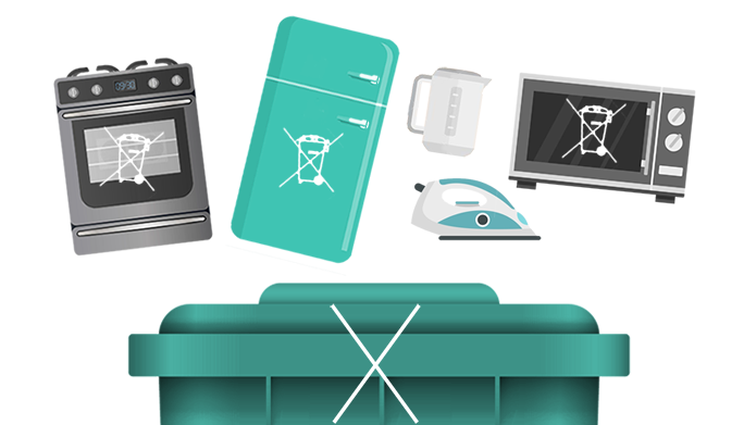 1722823513349264.png home-vectore-2.png